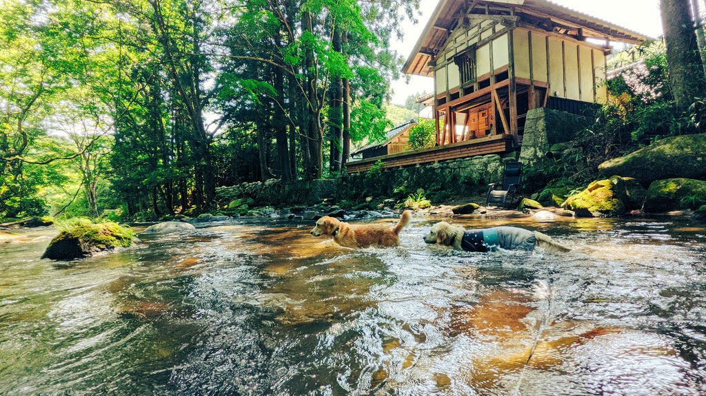 あるがままの自然の美しさを堪能する蔵サウナ「コアミガメ」