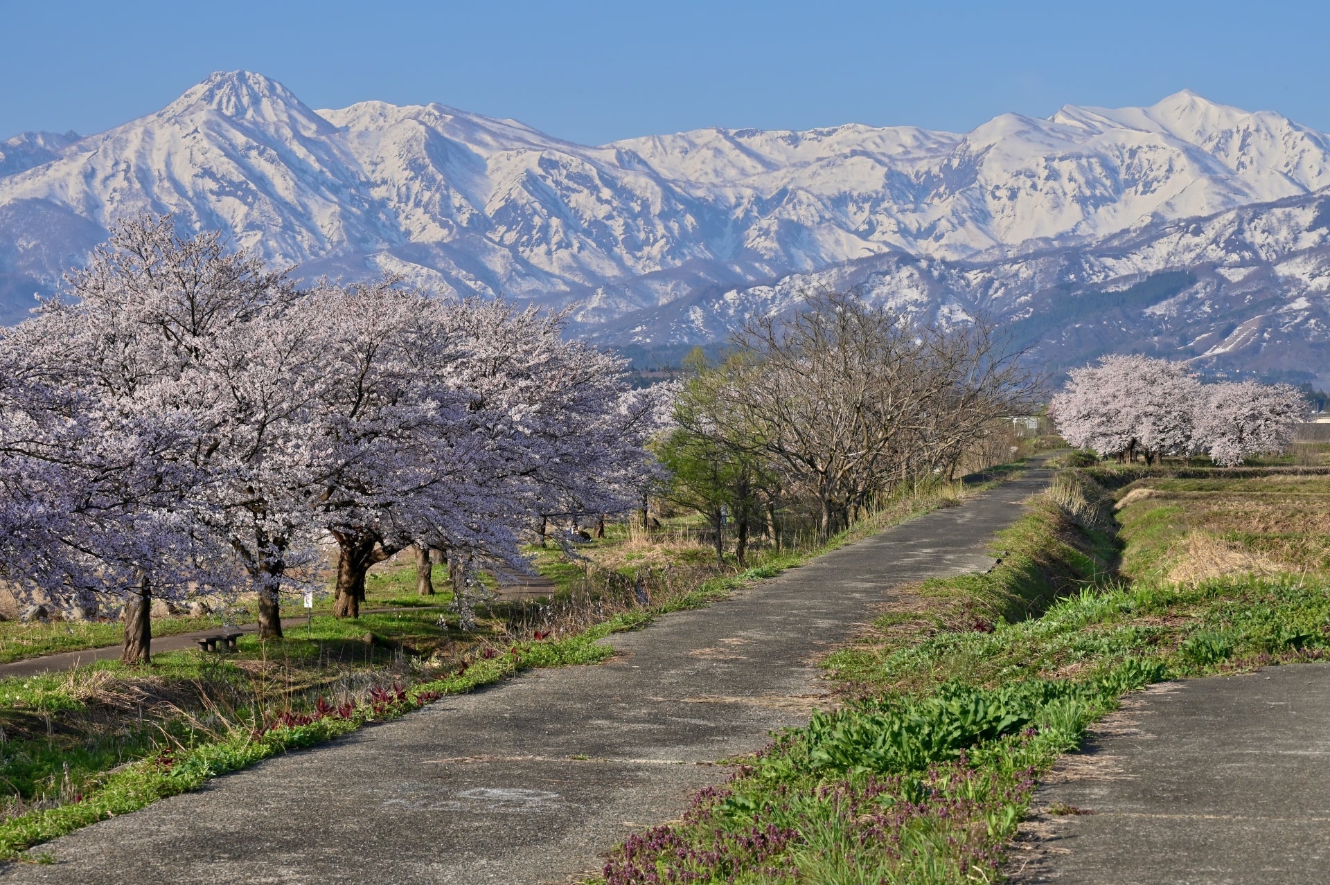 サウナ好きなら行ってみたい新潟県のサウナ7選