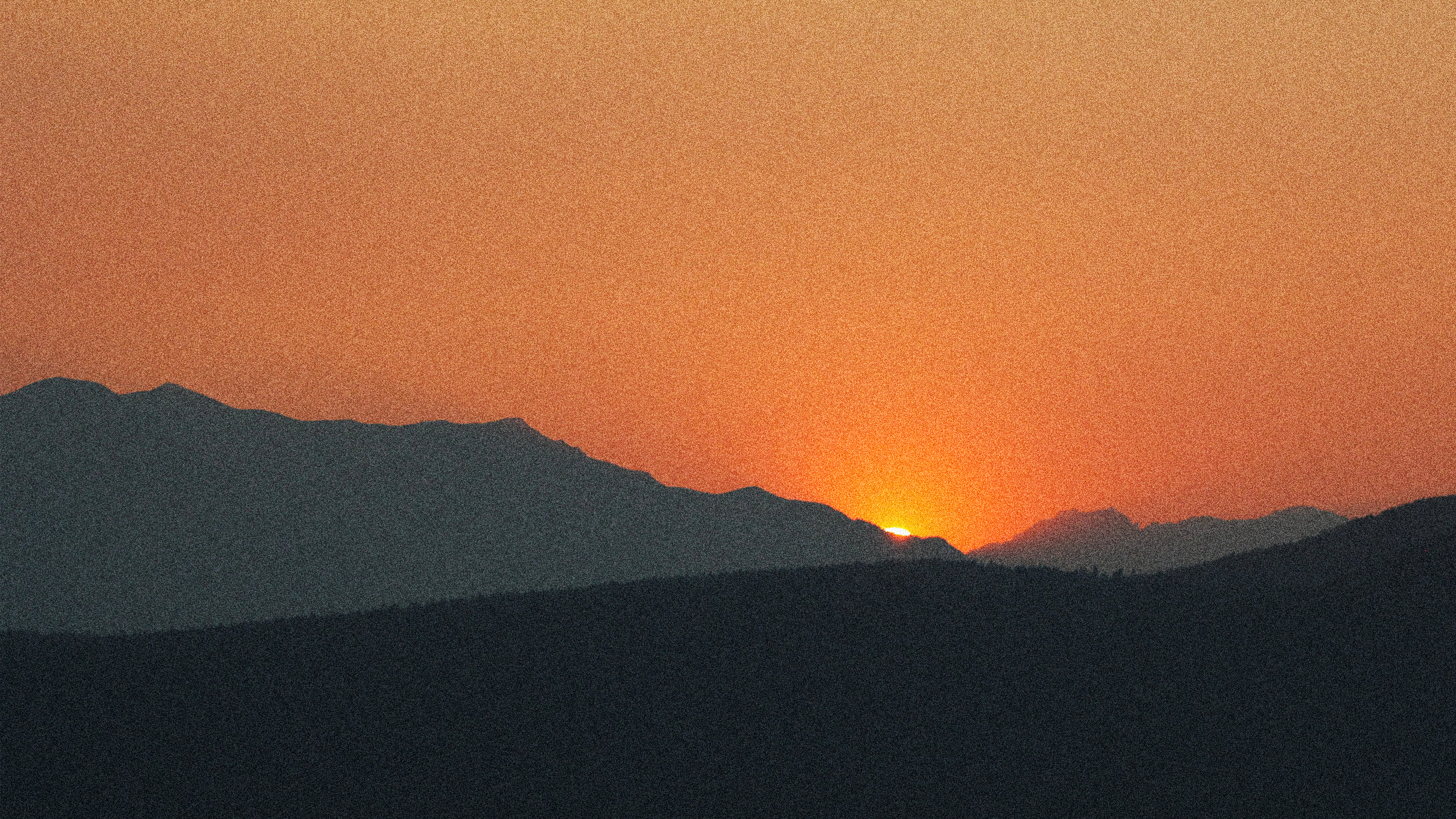 サウナ好きなら行ってみたい東京都のサウナ18選【ジャンル別】