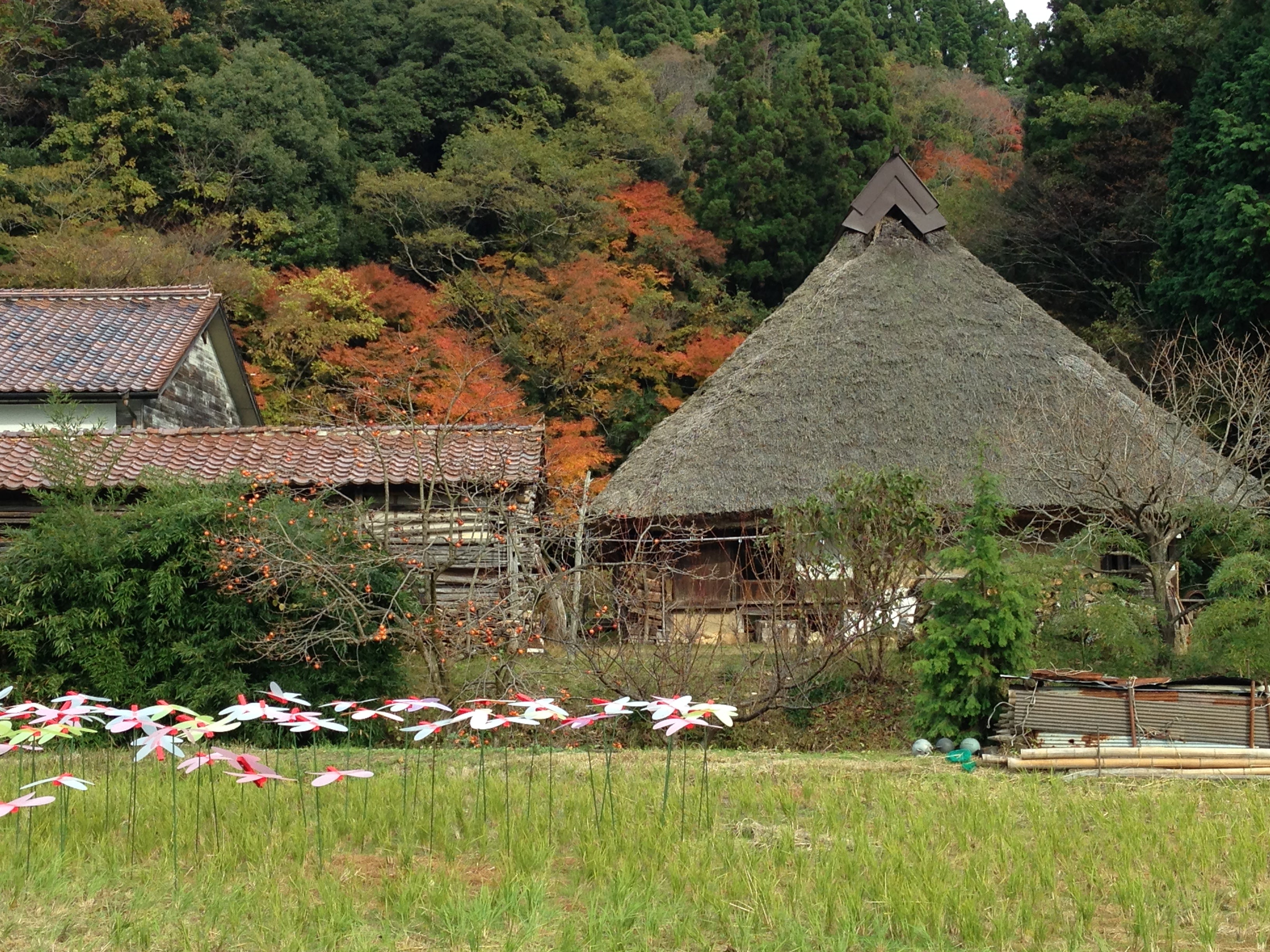 サウナ好きなら行ってみたい島根県のサウナ7選