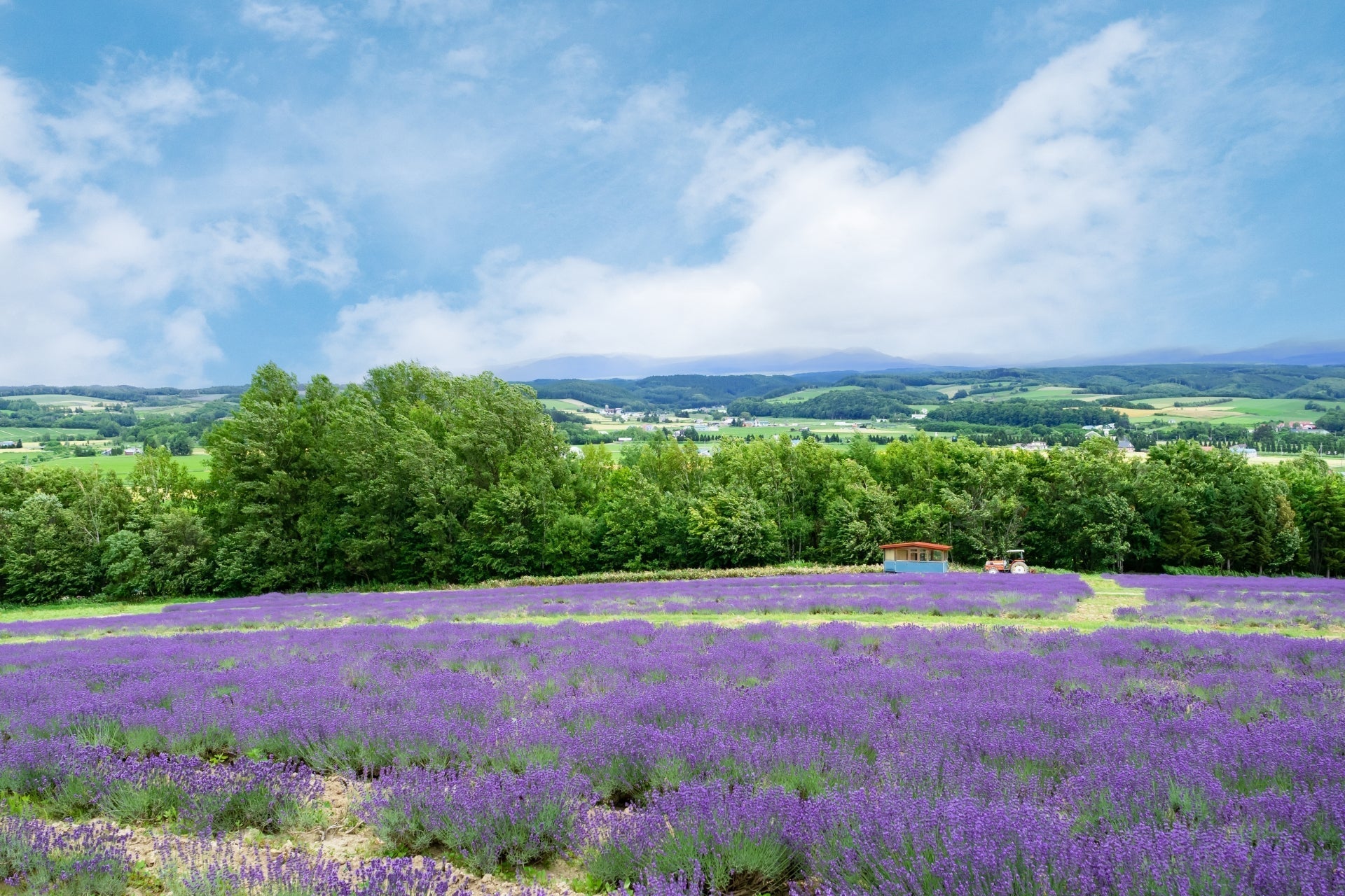 サウナ好きなら行ってみたい旭川・富良野など北海道道北エリアのサウナ7選