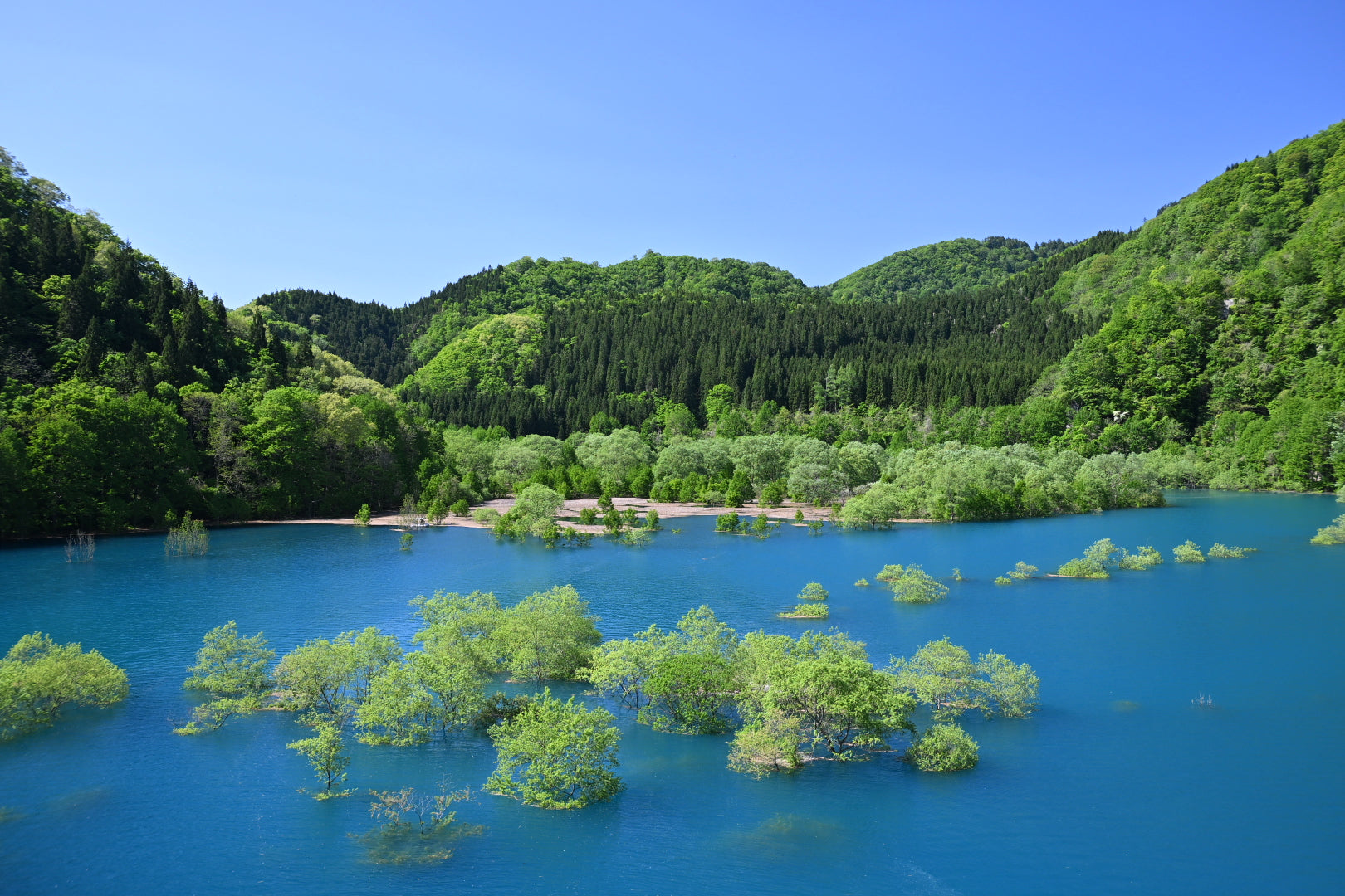 宝仙湖
