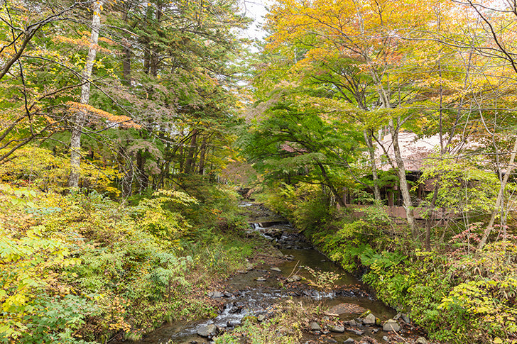 サウナ好きなら行ってみたい長野県のサウナ7選