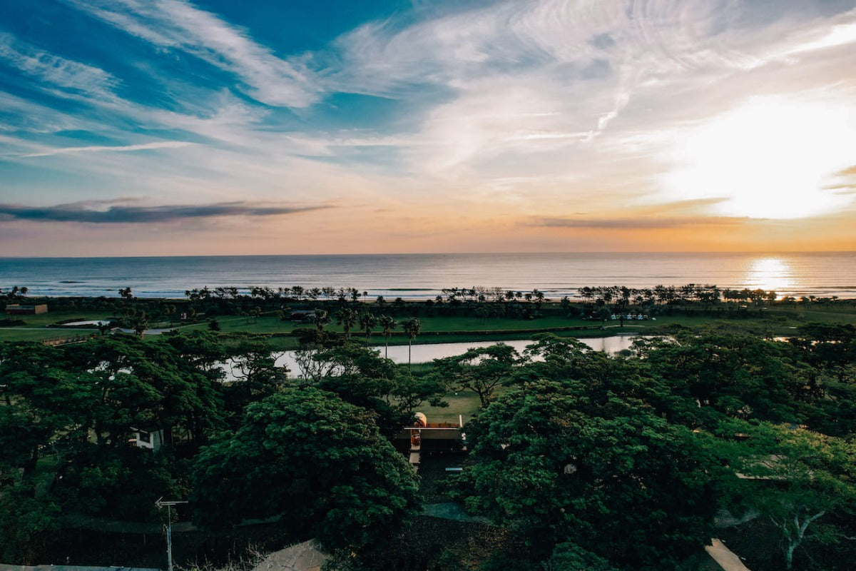 心と体を癒す！AOSHIMA PICNIC CLUBの極上バレルサウナ体験