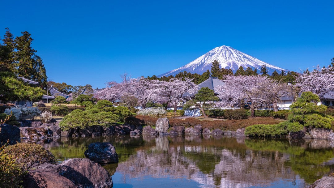 静岡の大石寺から見える富士山