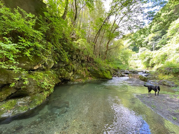 kanrano sauna - 画像3